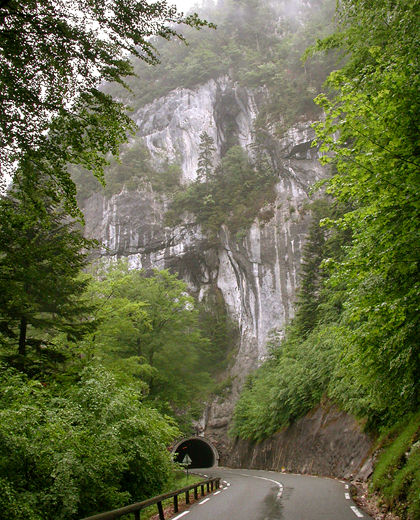 Chartreuse - title photo