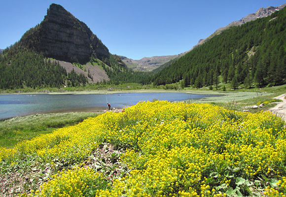 Lac de Sagnes - title photo